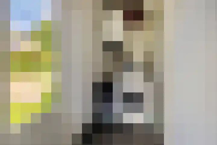 Nieuwland 8 Wapse thumbnail 15