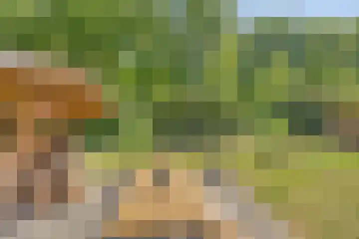 Nieuwland 8 Wapse thumbnail 16