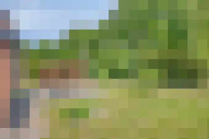 Nieuwland 8 Wapse thumbnail 17