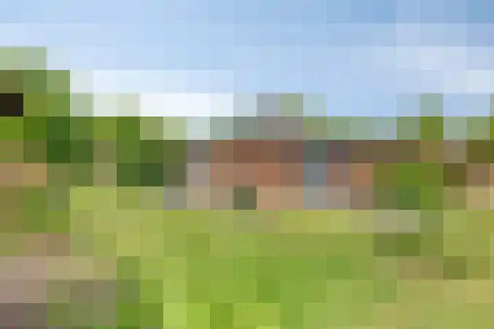 Nieuwland 8 Wapse thumbnail 19