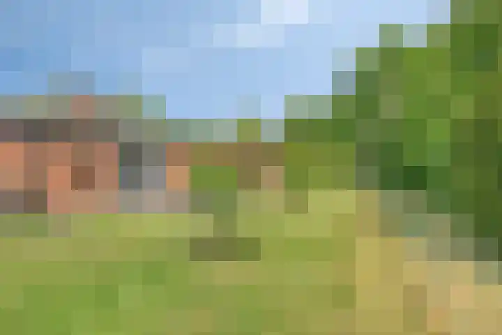 Nieuwland 8 Wapse thumbnail 20