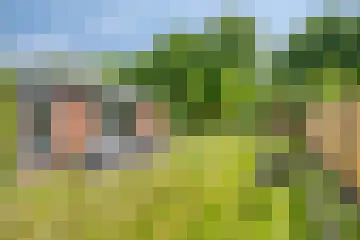 Nieuwland 8 Wapse thumbnail 21