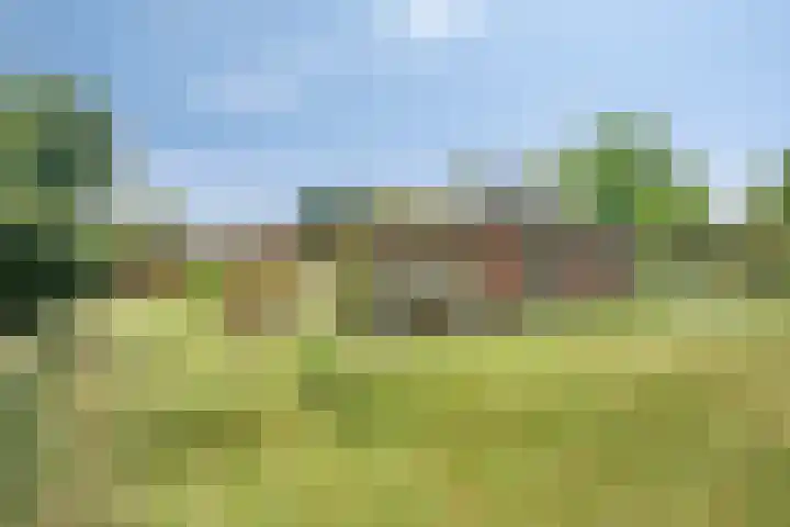 Nieuwland 8 Wapse thumbnail 22
