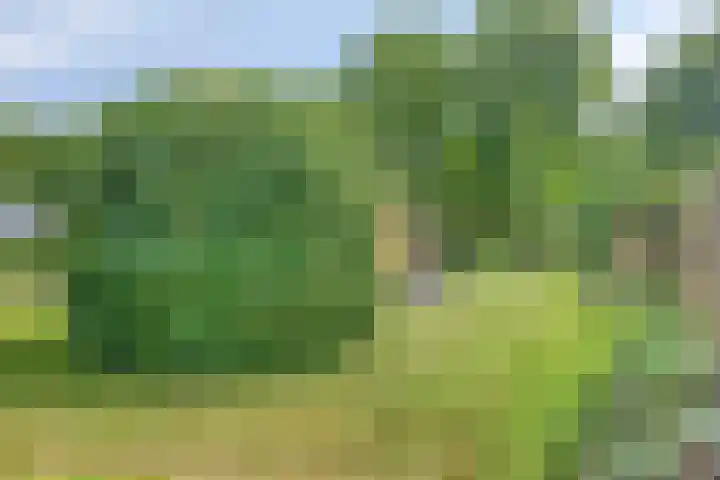 Nieuwland 8 Wapse thumbnail 23