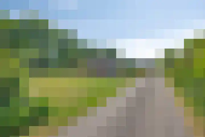 Nieuwland 8 Wapse thumbnail 24