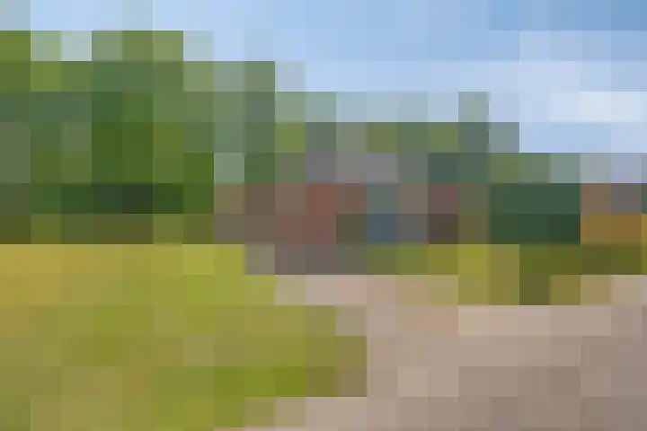 Nieuwland 8 Wapse thumbnail 25