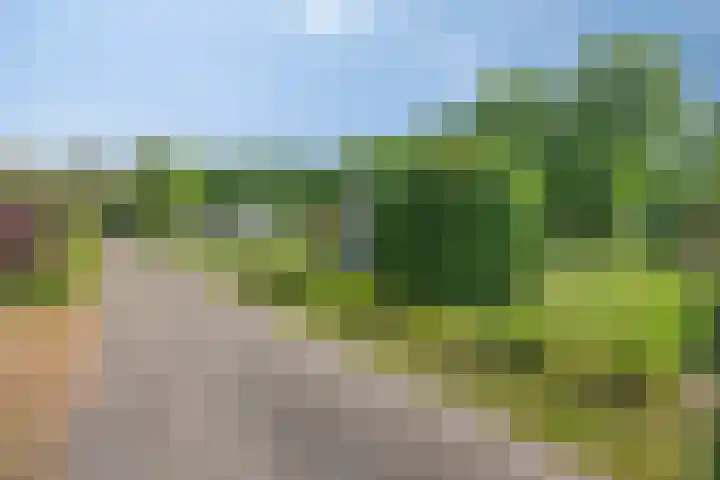 Nieuwland 8 Wapse thumbnail 26
