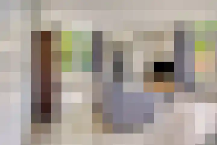 Nieuwland 8 Wapse thumbnail 4