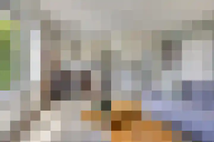 Nieuwland 8 Wapse thumbnail 5