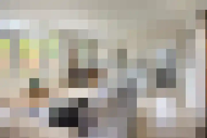 Nieuwland 8 Wapse thumbnail 6
