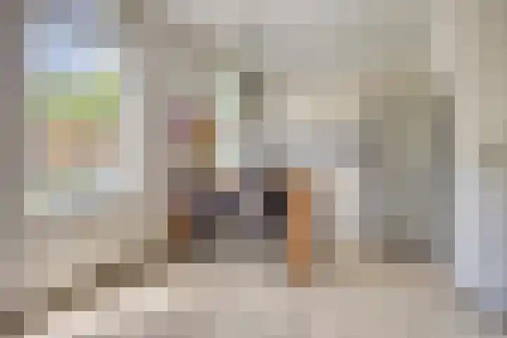 Nieuwland 8 Wapse thumbnail 7