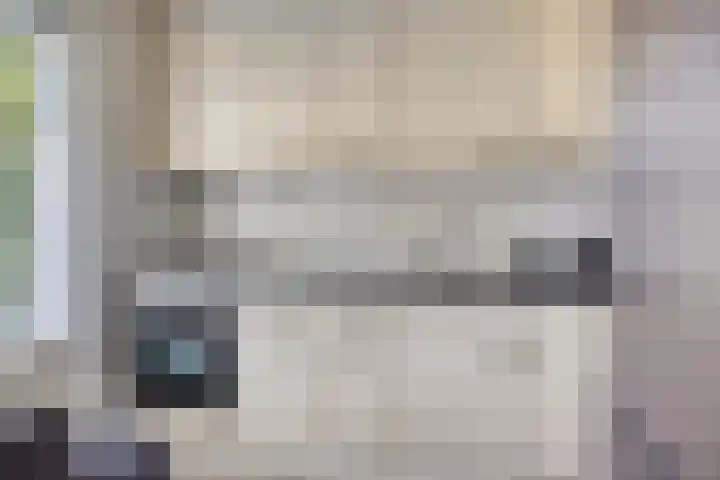 Nieuwland 8 Wapse thumbnail 8