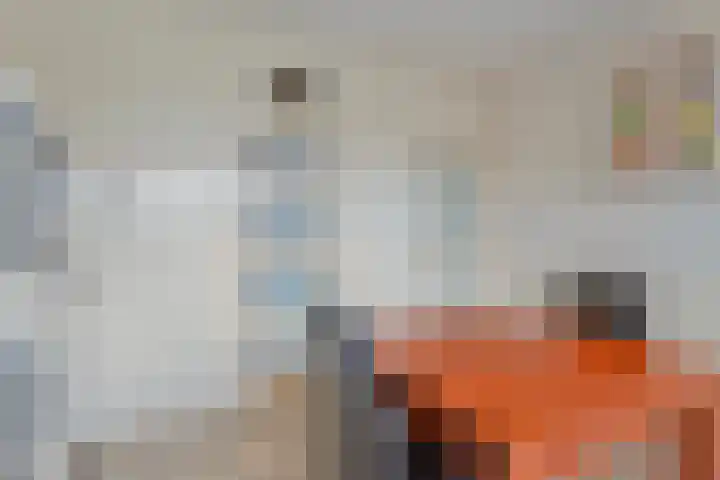 Nieuwland 9 Boxtel thumbnail 20