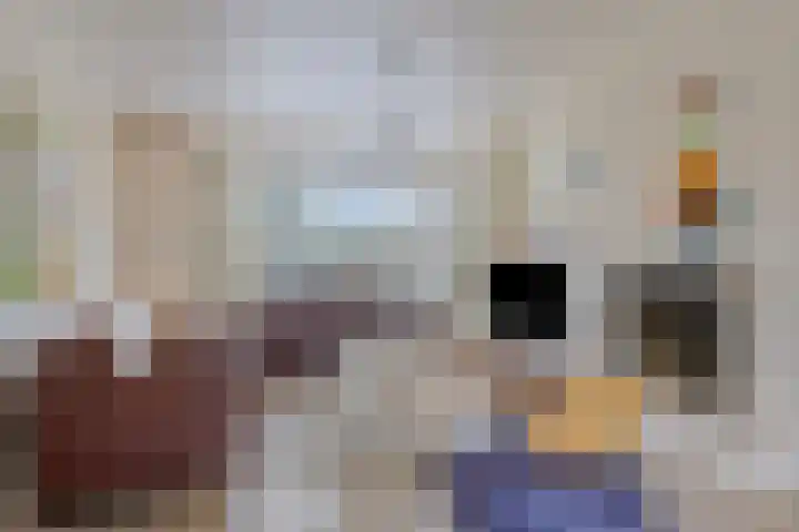 Nieuwland 9 Boxtel thumbnail 4
