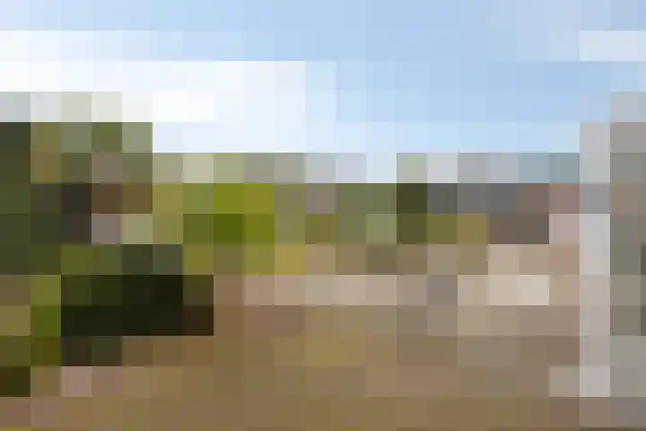 Nieuwland 9 Boxtel thumbnail 44