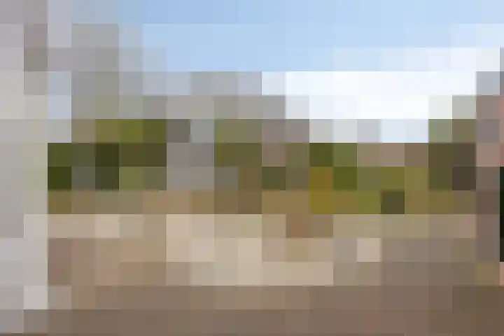 Nieuwland 9 Boxtel thumbnail 45