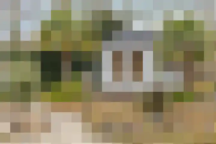 Nieuwland 9 Boxtel thumbnail 47