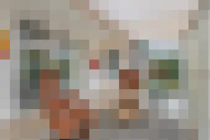 Nieuwland 9 Boxtel thumbnail 5