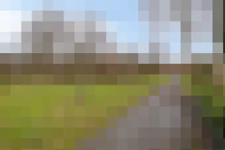 Nieuwland 9 Boxtel thumbnail 53