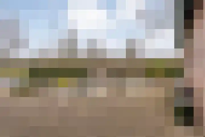 Nieuwland 9 Boxtel thumbnail 6