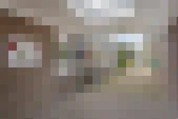 Nieuwland 9 Boxtel thumbnail 7
