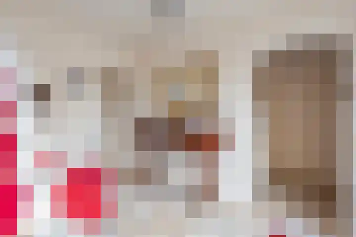 Nieuwland 9 Boxtel thumbnail 8