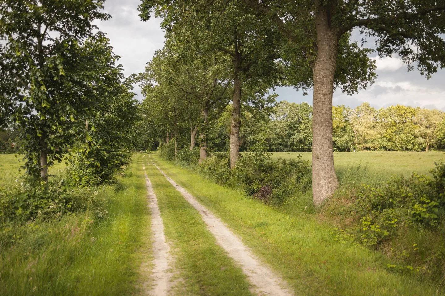 Nieuwlandenweg 1 Uffelte thumbnail 79