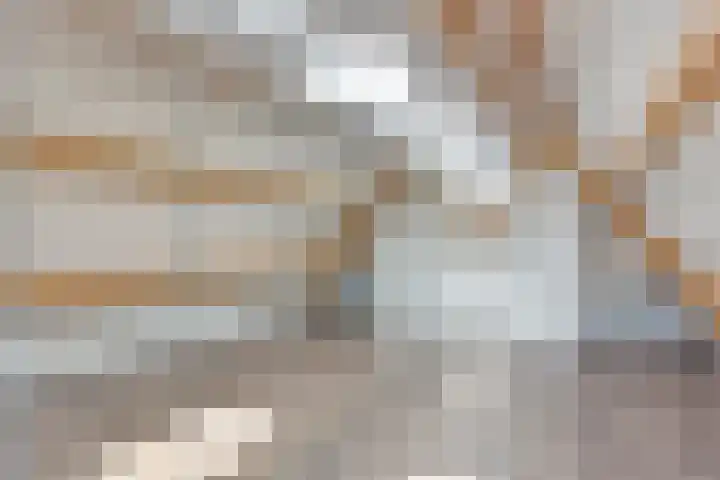 Nieuwlandersingel 1 Alkmaar thumbnail 11