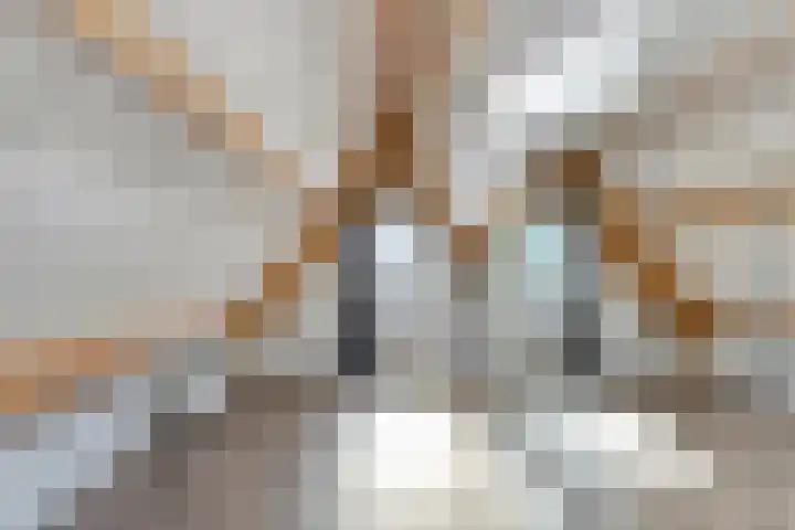 Nieuwlandersingel 1 Alkmaar thumbnail 13