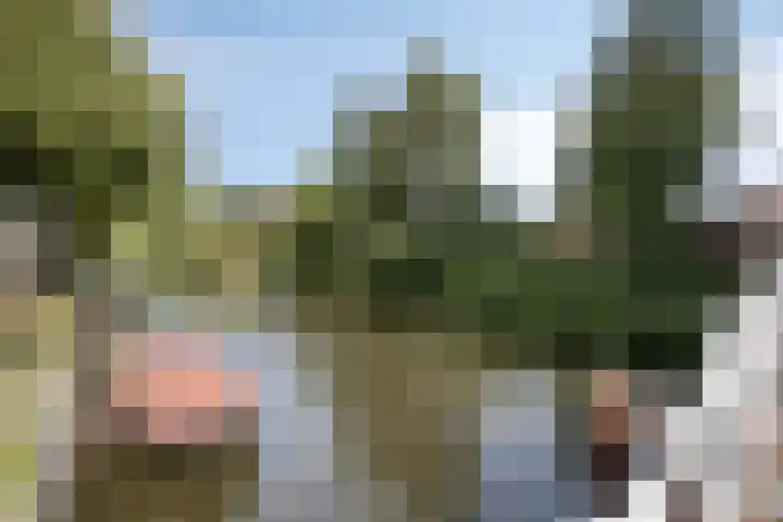 Nieuwlandersingel 1 Alkmaar thumbnail 24