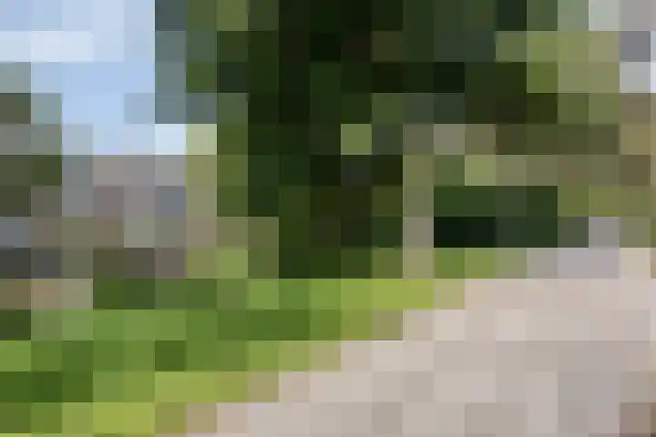 Nieuwlandersingel 1 Alkmaar thumbnail 26