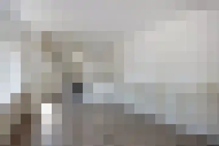 Nieuwlandersingel 1 Alkmaar thumbnail 5
