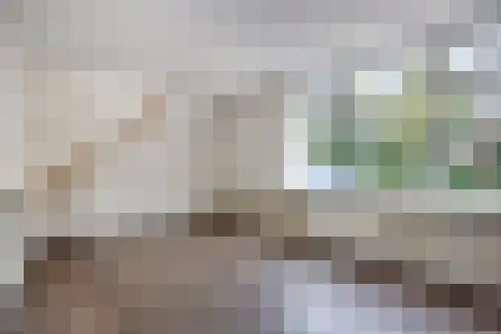 Nieuwlandersingel 1 Alkmaar thumbnail 6