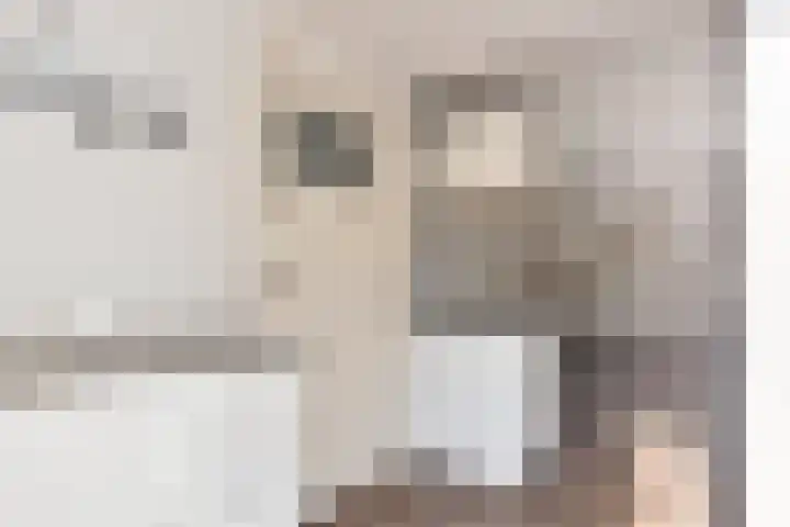 Nieuwlandersingel 1 Alkmaar thumbnail 7