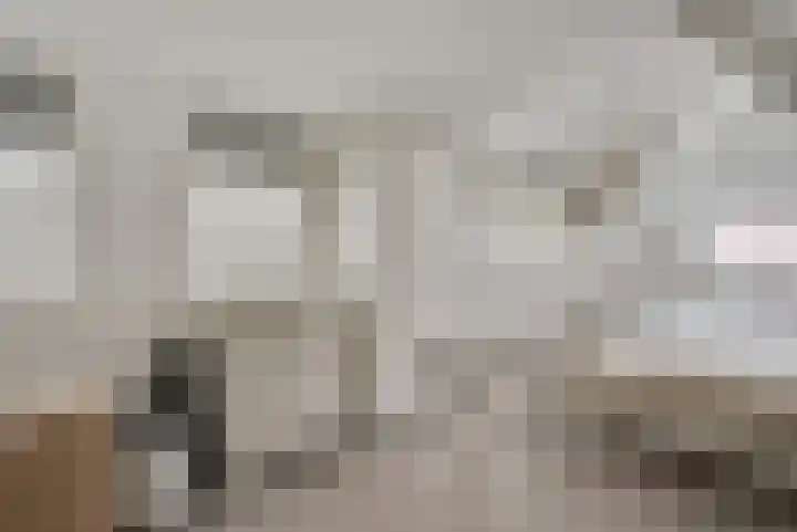 Nieuwlandersingel 3 Alkmaar thumbnail 11