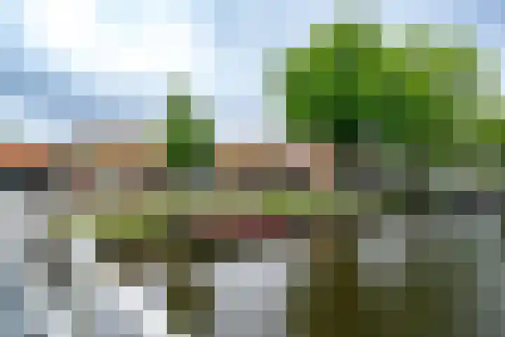 Nieuwlandersingel 3 Alkmaar thumbnail 18