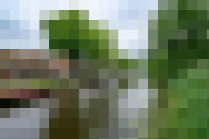 Nieuwlandersingel 3 Alkmaar thumbnail 19