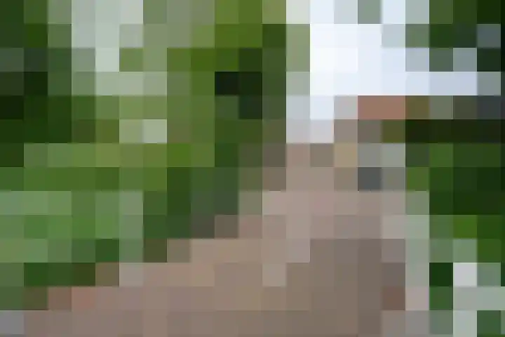 Nieuwlandersingel 3 Alkmaar thumbnail 20