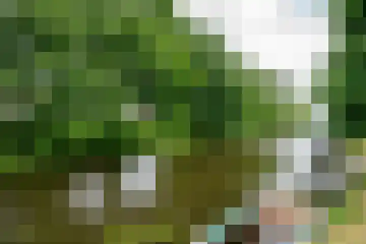 Nieuwlandersingel 3 Alkmaar thumbnail 21