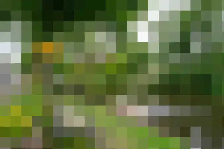 Nieuwlandersingel 3 Alkmaar thumbnail 22