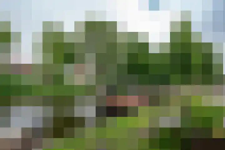 Nieuwlandersingel 3 Alkmaar thumbnail 23