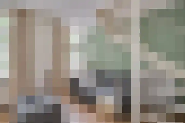 Nieuwlandersingel 3 Alkmaar thumbnail 7