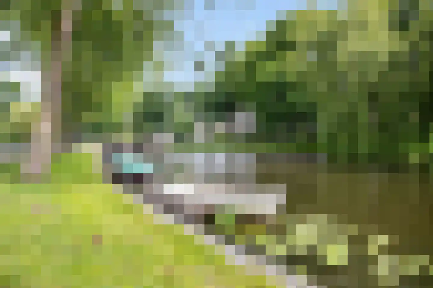 Nieuwlandersingel 44 Alkmaar thumbnail 10