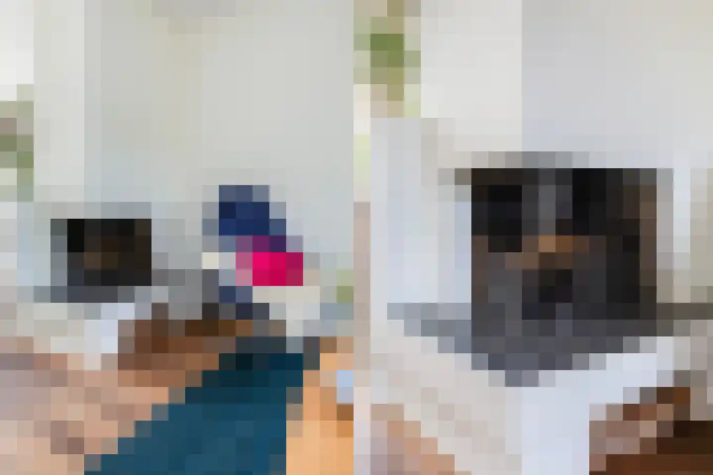 Nieuwlandersingel 44 Alkmaar thumbnail 19