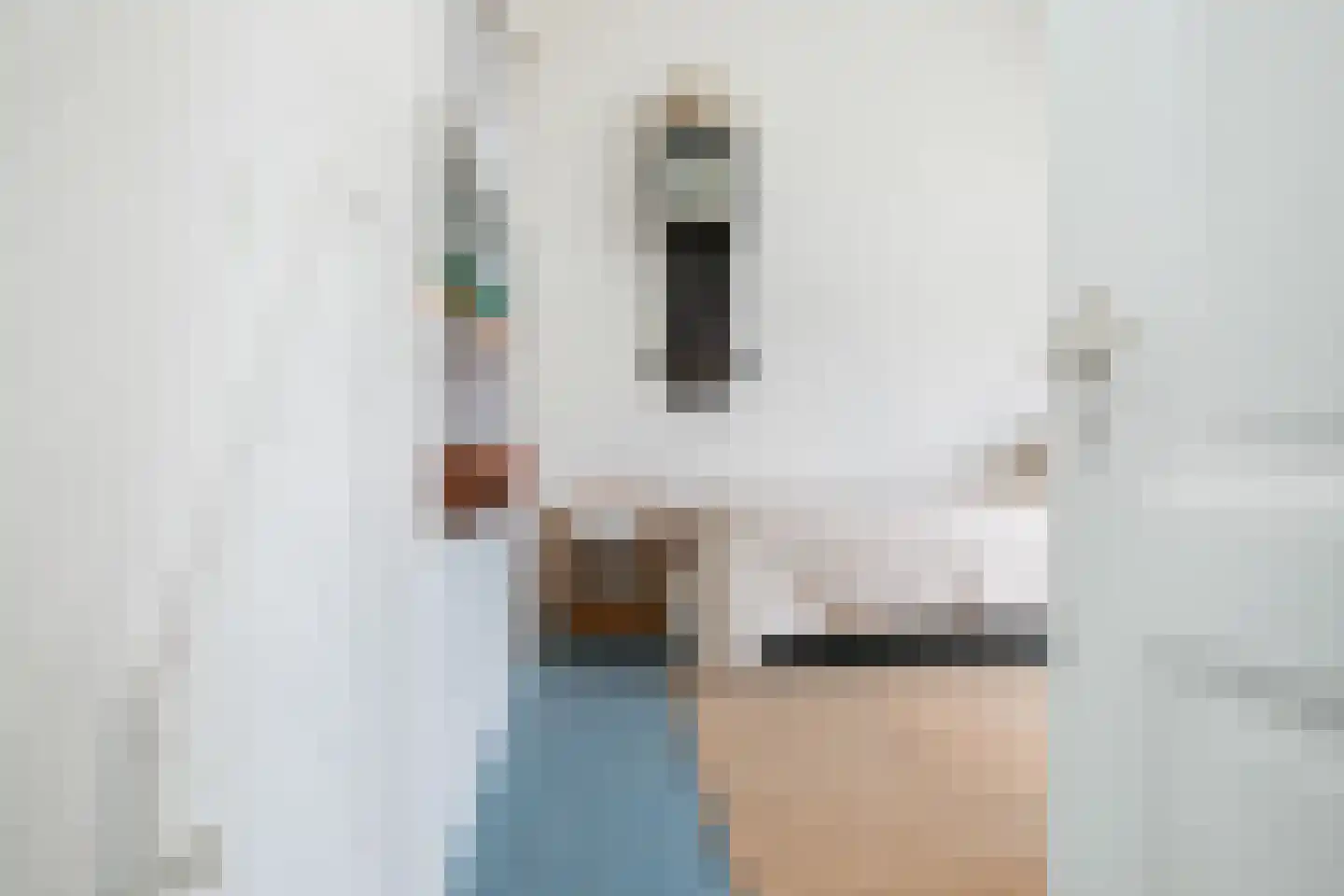 Nieuwlandersingel 44 Alkmaar thumbnail 36