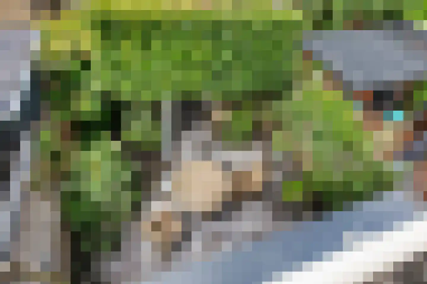 Nieuwlandersingel 44 Alkmaar thumbnail 42