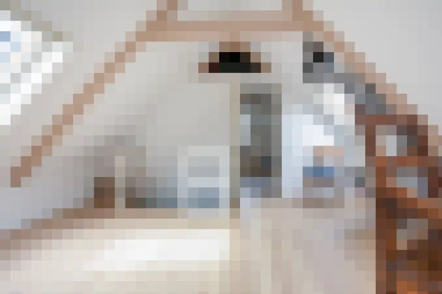 Nieuwlandersingel 44 Alkmaar thumbnail 46