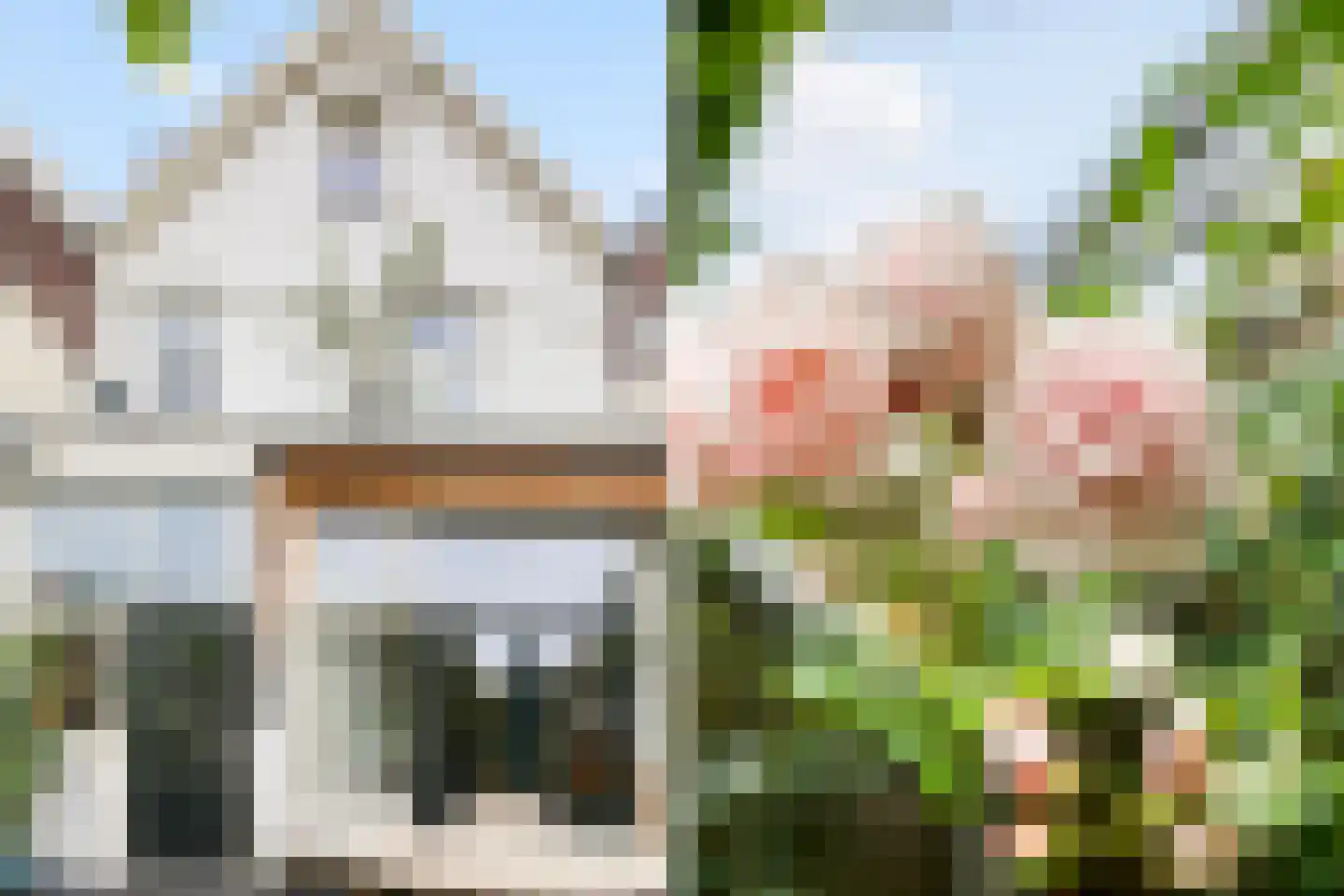 Nieuwlandersingel 44 Alkmaar thumbnail 6