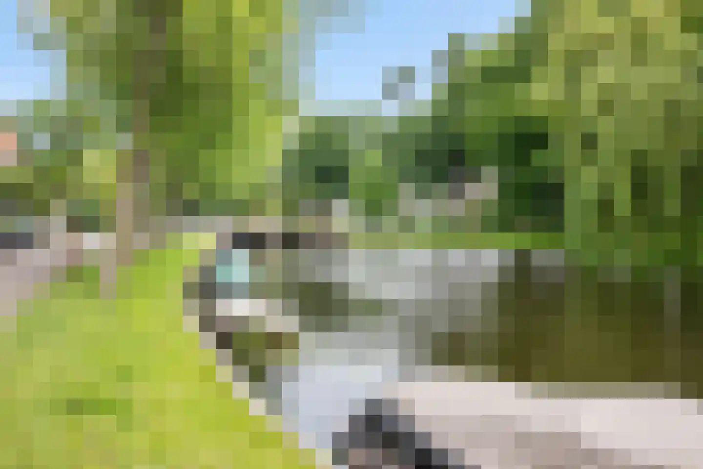 Nieuwlandersingel 44 Alkmaar thumbnail 9