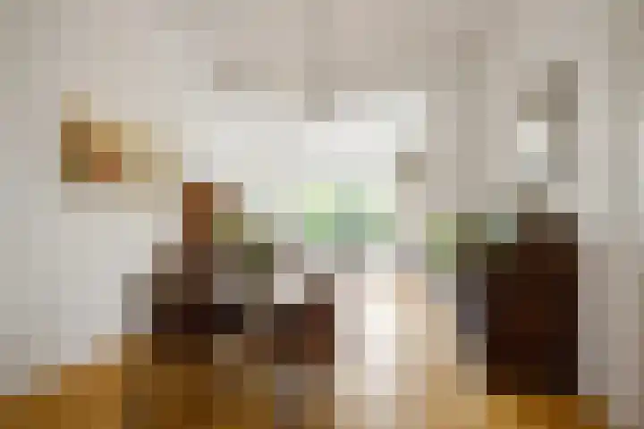 Nieuwlandersingel 56 Alkmaar thumbnail 15